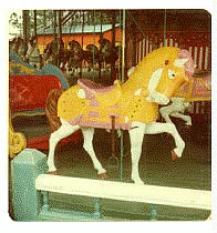 (Image: Carousel Horse)